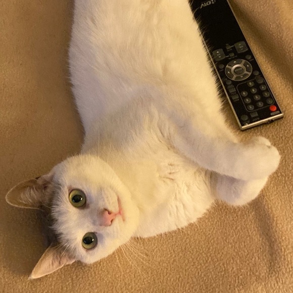 I’m Tonya K - TKinNJ’s closet. Welcome!! - Picture 9 of 13